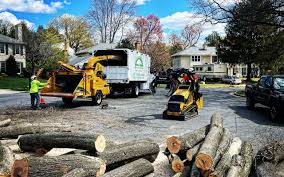 Best Tree Disease Treatment  in Greenlawn, NY